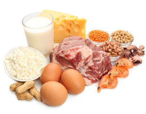 Proteins: building blocks of the body