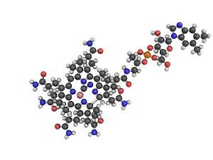 Vitamin-B12