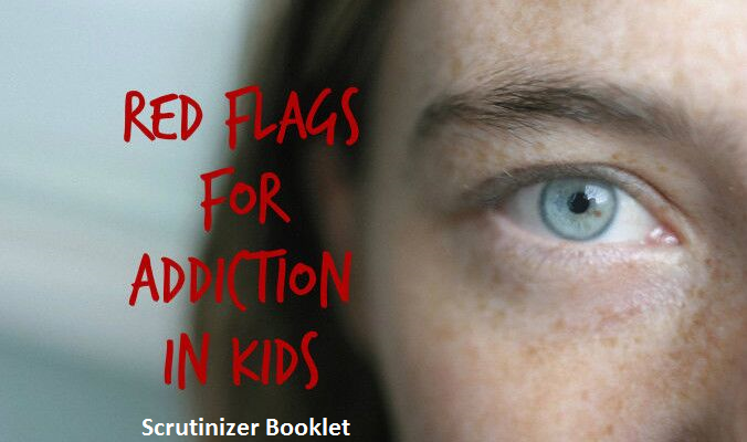 Scrutinizer Addiction Booklet